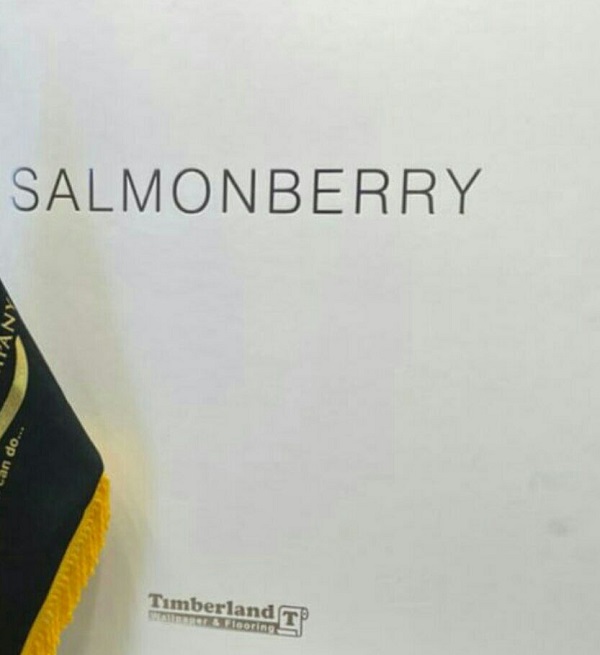 🔶️ آلبوم کاغذ دیواری سالمون بری ، کاغذ دیواری SALMONBERRY / آلبوم کاغذ دیواری بلینکی ، کاغذ دیواری BLINKY